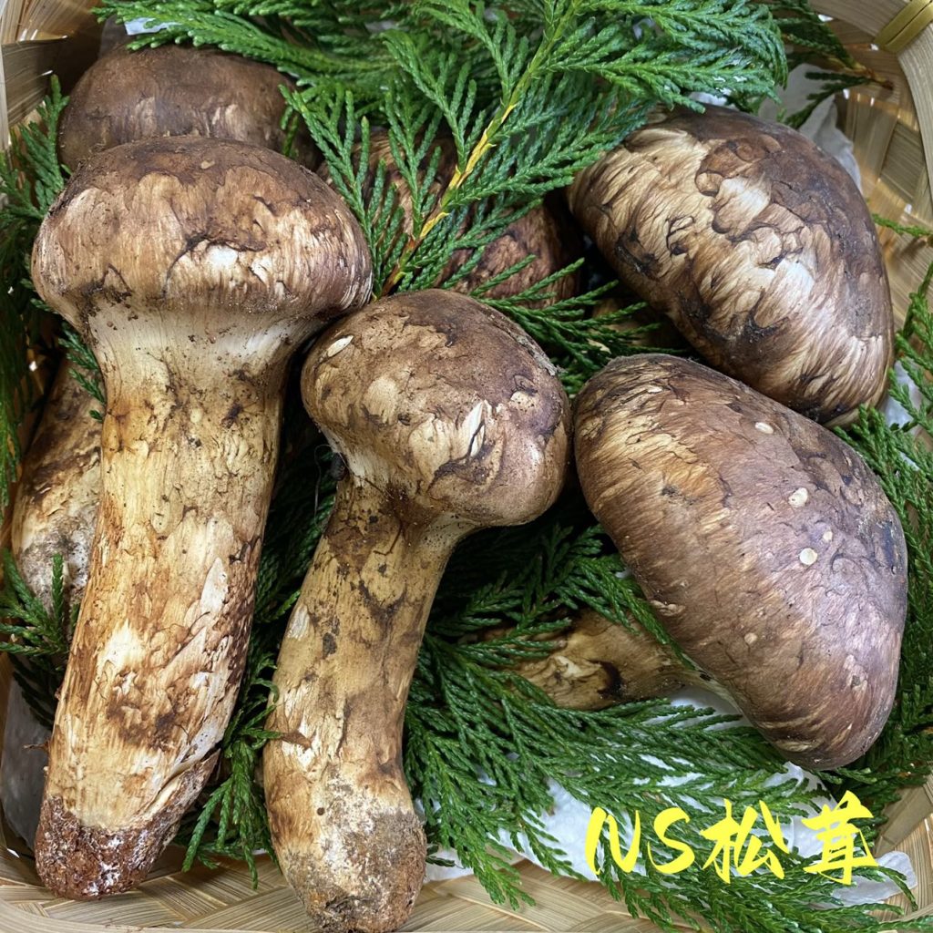 天までとどけ　中国雲南省　新鮮松茸 約 4kg 天までとどけ 様専用 中国雲南省産松茸 約4kg 中国雲南省産