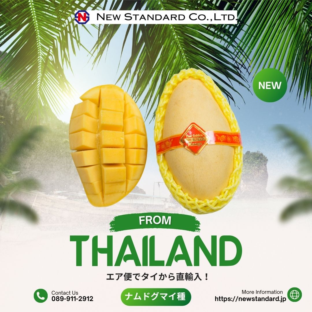 ニュースタンダード|世界中の美味しい旬の食材をお届けします